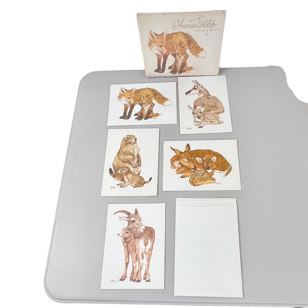 Vintage 1980's Current American Wildlife Ecology Set of 5 Blank Note Cards